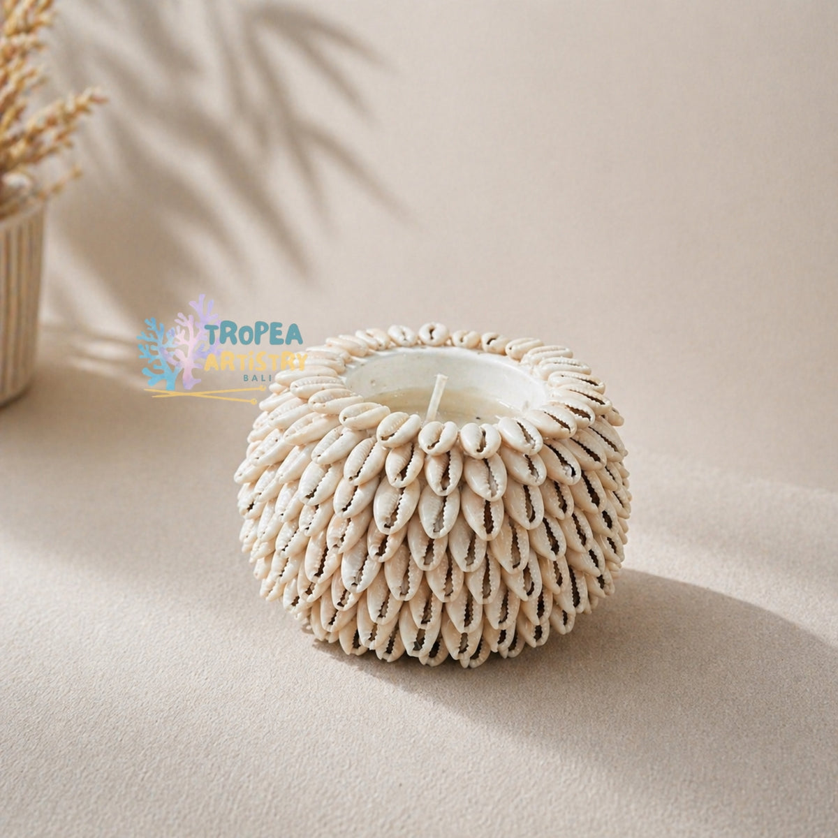 A round candle holder made of layered cowrie shells with a white wax candle inside, set on a beige surface with soft shadows and a dried plant in the background. A Tropea Marine brand watermark is visible on the left.
