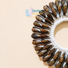 A circular wall hanging made from many small seashell halves arranged around a white braided ring, photographed on a plain warm beige background. A TroPia Artistry watermark appears near the top center.
