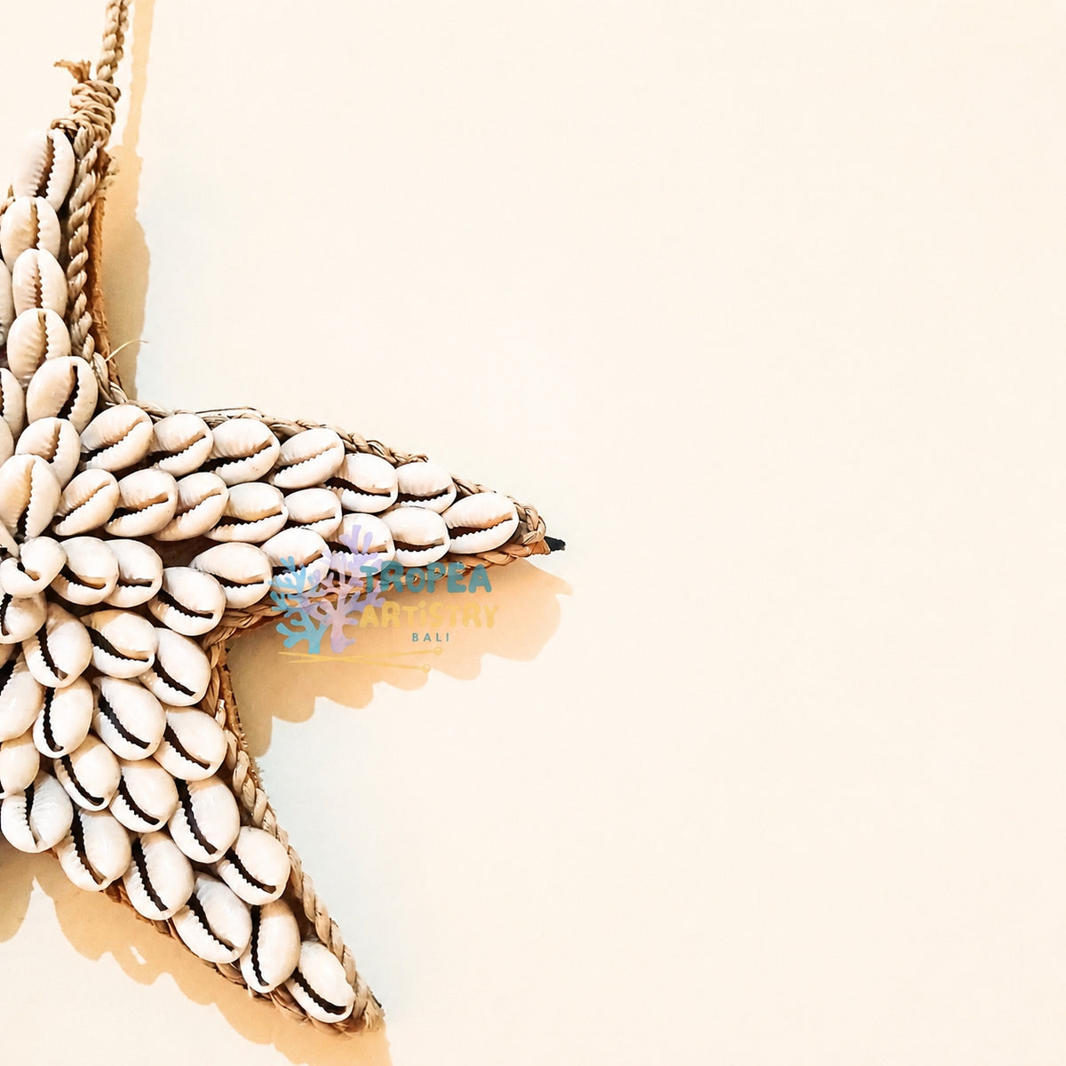 A circular seashell wreath wall hanging with a white braided rope center, photographed against a plain beige wall.