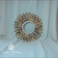 Coastal Seashell Wall Art - Double Row